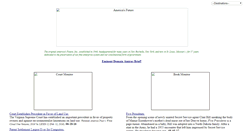Desktop Screenshot of americasfuture.net